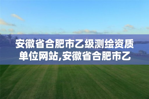 安徽省合肥市乙级测绘资质单位网站,安徽省合肥市乙级测绘资质单位网站是什么。