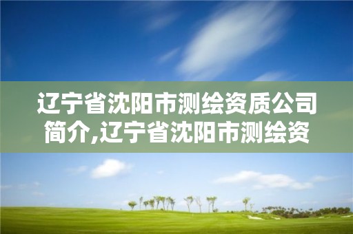 辽宁省沈阳市测绘资质公司简介,辽宁省沈阳市测绘资质公司简介