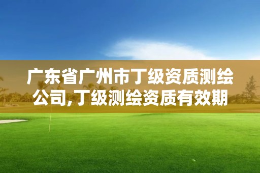 广东省广州市丁级资质测绘公司,丁级测绘资质有效期为什么那么短