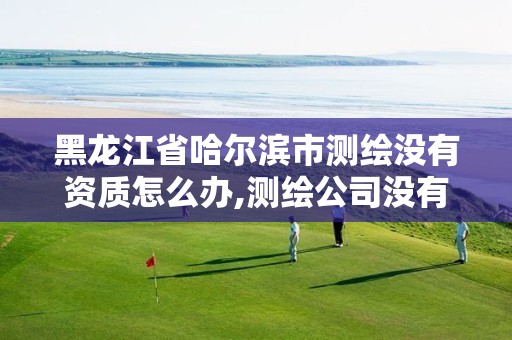 黑龙江省哈尔滨市测绘没有资质怎么办,测绘公司没有资质可以开展业务吗