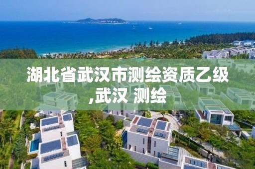 湖北省武汉市测绘资质乙级,武汉 测绘