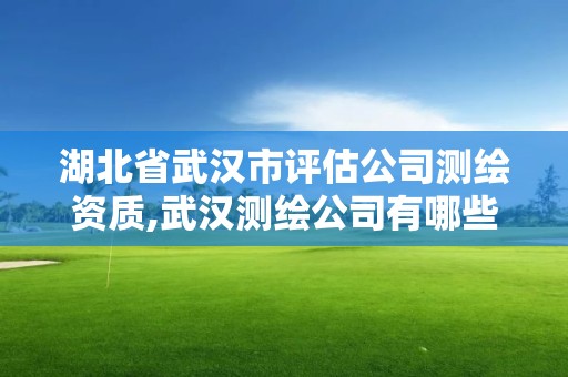 湖北省武汉市评估公司测绘资质,武汉测绘公司有哪些