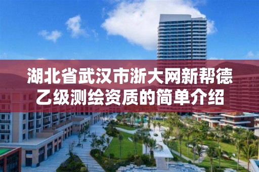 湖北省武汉市浙大网新帮德乙级测绘资质的简单介绍