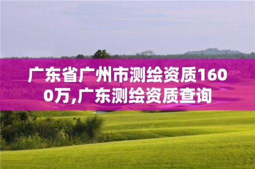 广东省广州市测绘资质1600万,广东测绘资质查询