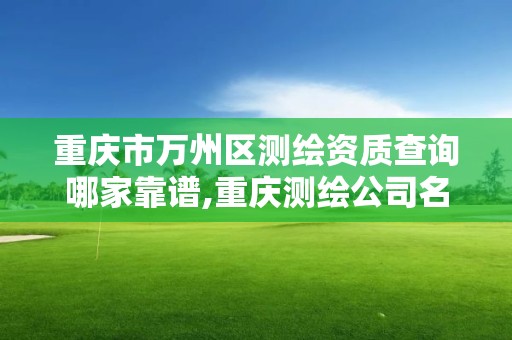 重庆市万州区测绘资质查询哪家靠谱,重庆测绘公司名录。