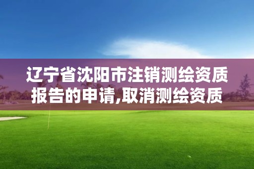 辽宁省沈阳市注销测绘资质报告的申请,取消测绘资质