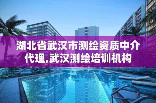 湖北省武汉市测绘资质中介代理,武汉测绘培训机构