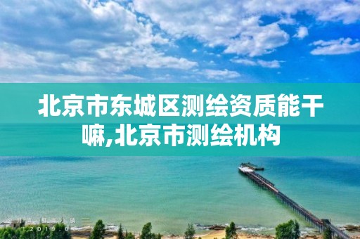 北京市东城区测绘资质能干嘛,北京市测绘机构