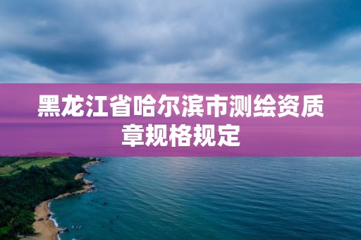 黑龙江省哈尔滨市测绘资质章规格规定