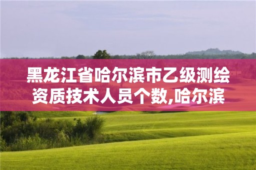 黑龙江省哈尔滨市乙级测绘资质技术人员个数,哈尔滨测绘局工资怎么样。