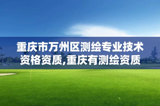 重庆市万州区测绘专业技术资格资质,重庆有测绘资质测绘公司大全。