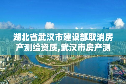 湖北省武汉市建设部取消房产测绘资质,武汉市房产测绘中心是什么性质。