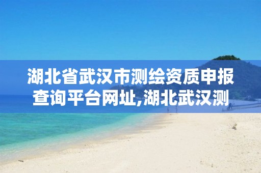 湖北省武汉市测绘资质申报查询平台网址,湖北武汉测绘局。