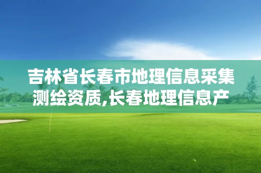 吉林省长春市地理信息采集测绘资质,长春地理信息产业园