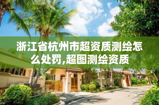 浙江省杭州市超资质测绘怎么处罚,超图测绘资质