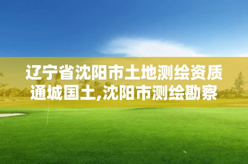 辽宁省沈阳市土地测绘资质通城国土,沈阳市测绘勘察研究院