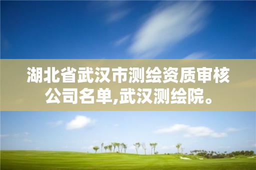 湖北省武汉市测绘资质审核公司名单,武汉测绘院。