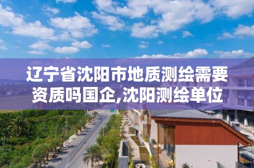 辽宁省沈阳市地质测绘需要资质吗国企,沈阳测绘单位