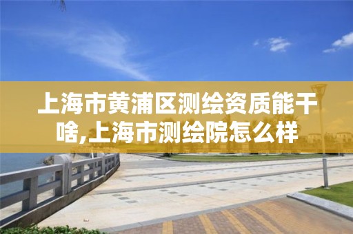 上海市黄浦区测绘资质能干啥,上海市测绘院怎么样