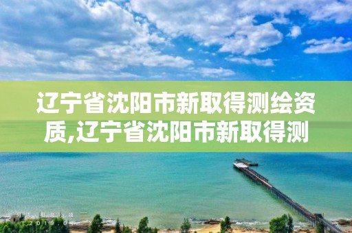 辽宁省沈阳市新取得测绘资质,辽宁省沈阳市新取得测绘资质的单位