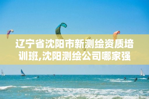 辽宁省沈阳市新测绘资质培训班,沈阳测绘公司哪家强哪家好