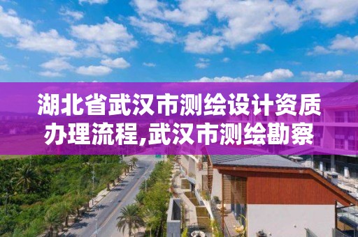 湖北省武汉市测绘设计资质办理流程,武汉市测绘勘察设计甲级资质公司