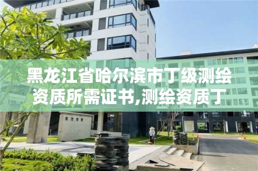 黑龙江省哈尔滨市丁级测绘资质所需证书,测绘资质丁级是什么意思