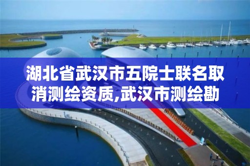 湖北省武汉市五院士联名取消测绘资质,武汉市测绘勘察设计甲级资质公司。