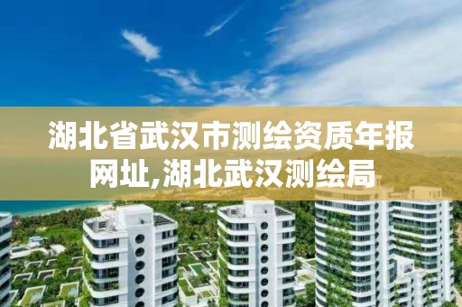 湖北省武汉市测绘资质年报网址,湖北武汉测绘局