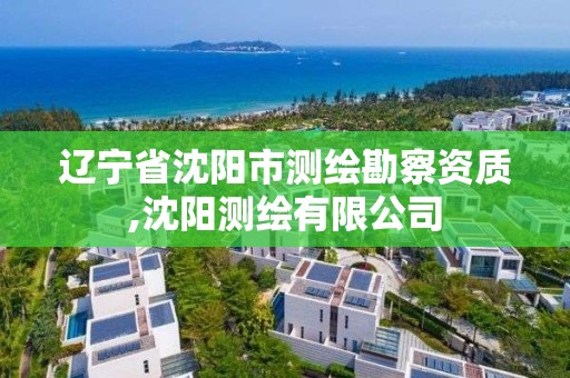 辽宁省沈阳市测绘勘察资质,沈阳测绘有限公司