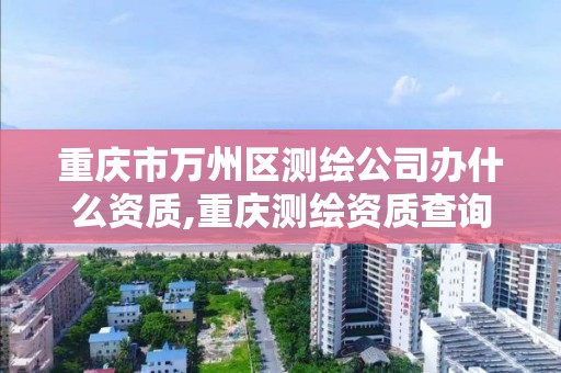 重庆市万州区测绘公司办什么资质,重庆测绘资质查询