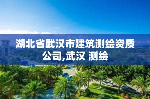 湖北省武汉市建筑测绘资质公司,武汉 测绘