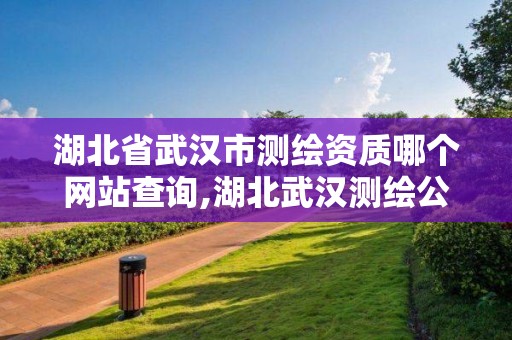 湖北省武汉市测绘资质哪个网站查询,湖北武汉测绘公司排行榜