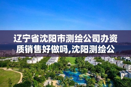 辽宁省沈阳市测绘公司办资质销售好做吗,沈阳测绘公司有哪些。