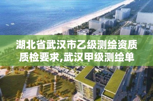 湖北省武汉市乙级测绘资质质检要求,武汉甲级测绘单位