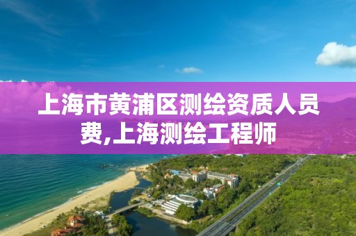 上海市黄浦区测绘资质人员费,上海测绘工程师