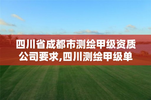 四川省成都市测绘甲级资质公司要求,四川测绘甲级单位有哪些