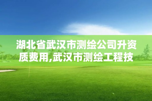 湖北省武汉市测绘公司升资质费用,武汉市测绘工程技术规定