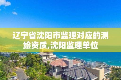 辽宁省沈阳市监理对应的测绘资质,沈阳监理单位