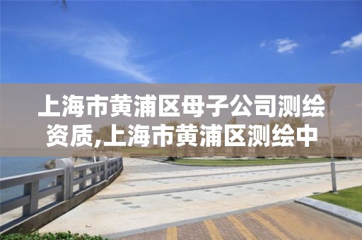 上海市黄浦区母子公司测绘资质,上海市黄浦区测绘中心