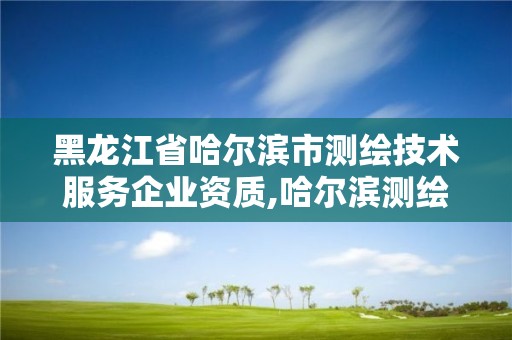 黑龙江省哈尔滨市测绘技术服务企业资质,哈尔滨测绘公司有哪些。