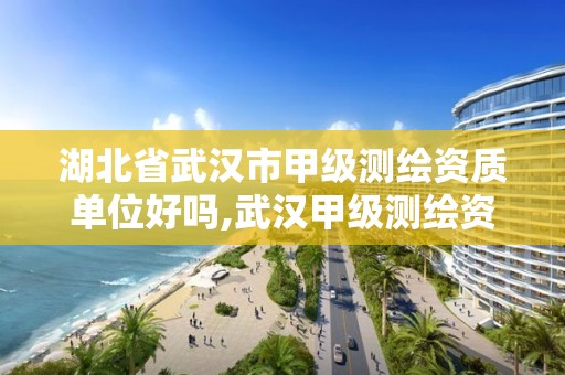 湖北省武汉市甲级测绘资质单位好吗,武汉甲级测绘资质公司