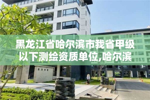 黑龙江省哈尔滨市我省甲级以下测绘资质单位,哈尔滨测绘局是干什么的