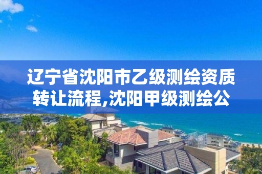 辽宁省沈阳市乙级测绘资质转让流程,沈阳甲级测绘公司