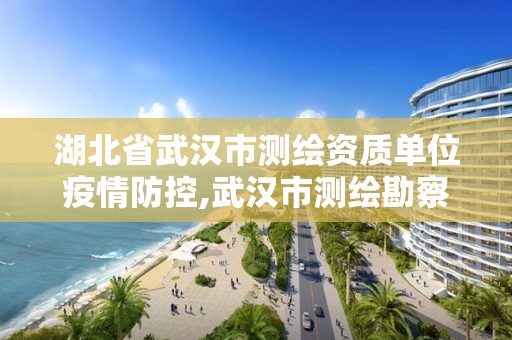 湖北省武汉市测绘资质单位疫情防控,武汉市测绘勘察设计甲级资质公司