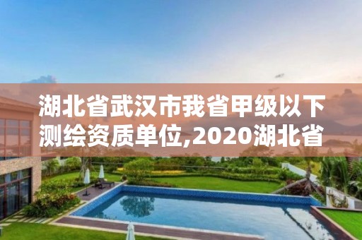 湖北省武汉市我省甲级以下测绘资质单位,2020湖北省甲级测绘单位