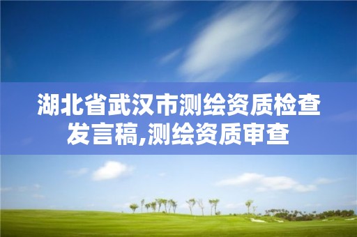 湖北省武汉市测绘资质检查发言稿,测绘资质审查