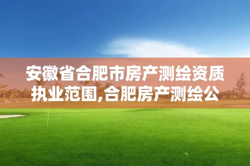 安徽省合肥市房产测绘资质执业范围,合肥房产测绘公司。