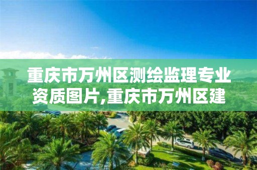 重庆市万州区测绘监理专业资质图片,重庆市万州区建设工程质量监督站检测中心