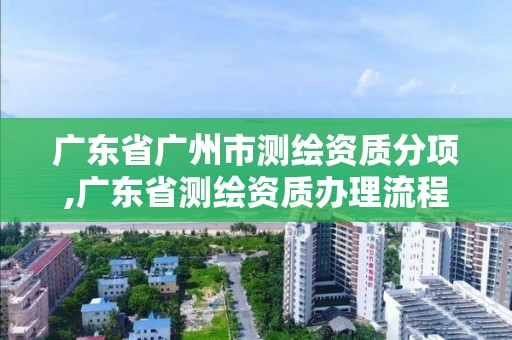 广东省广州市测绘资质分项,广东省测绘资质办理流程